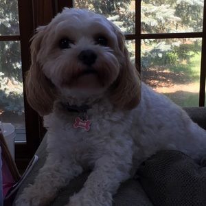 Meet your Posher, Bethany